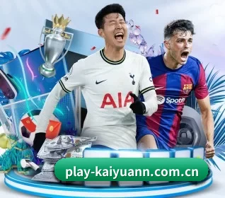 play-kaiyuann.com.cn的方向